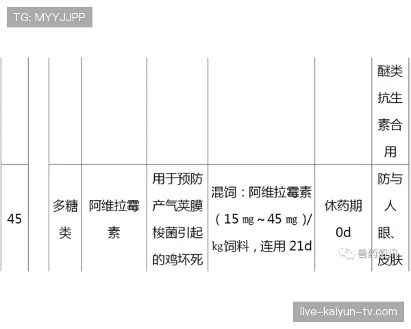 官方篮球规则对回场违例的定义与判定标准